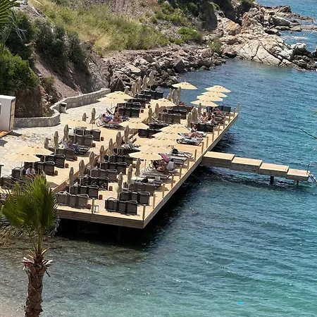 Villa Beachfront With Private And Pool